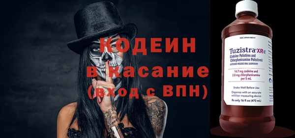 твердый Аркадак