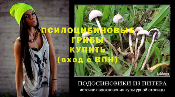 дмт Арсеньев