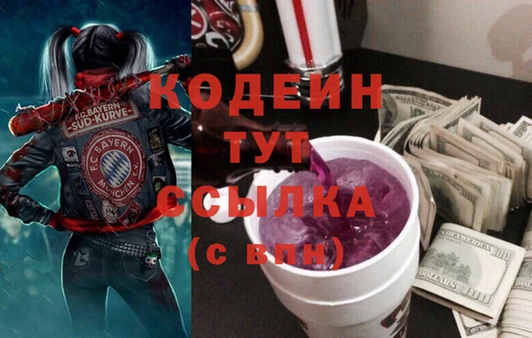 дмт Арсеньев