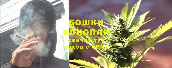 твердый Аркадак
