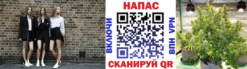 где купить   Мценск  Каннабис MAZAR 